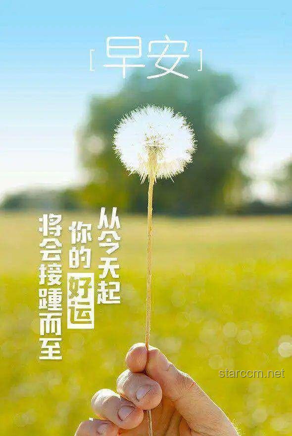 早上起来这样发，朋友圈会被赞爆！✨正能量, 生活美学, 情感共鸣, 创意分享