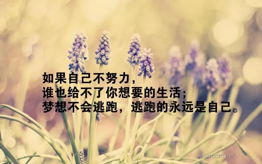 早上起来这样发，朋友圈会被赞爆！✨正能量, 生活美学, 情感共鸣, 创意分享